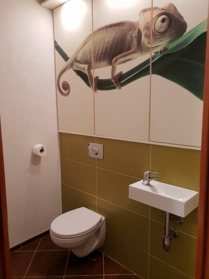 Apartament Szafir Zielona Gora  Exterior photo